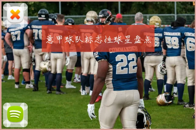 意甲球队标志性球星盘点