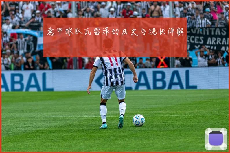 意甲球队瓦雷泽的历史与现状详解