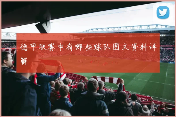 德甲联赛中有哪些球队图文资料详解