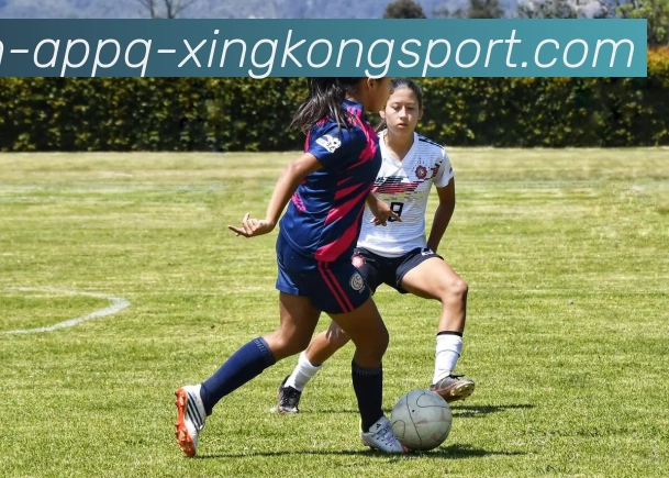 星空体育APP 高清赛事图